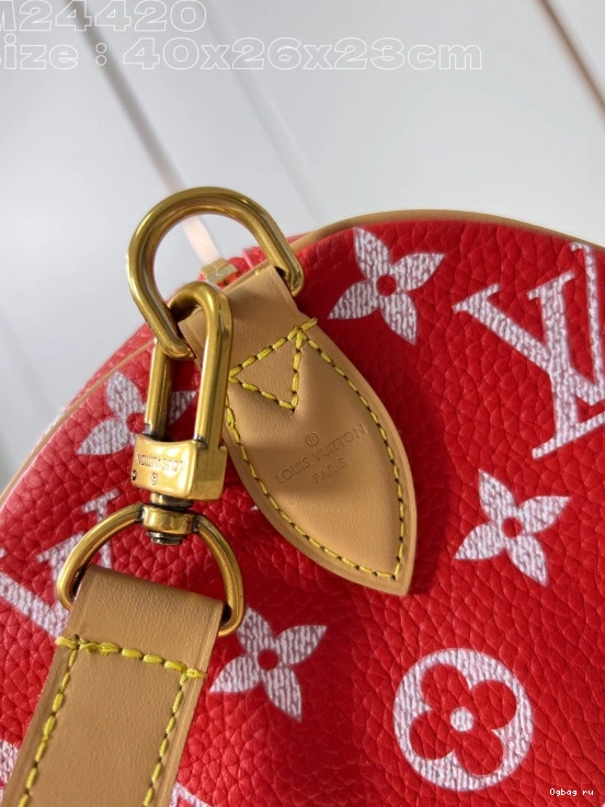 40 SPEEDY Louis Vuitton 0709
